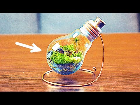 Youtube: Wie macht man ein ewiges Terrarium!