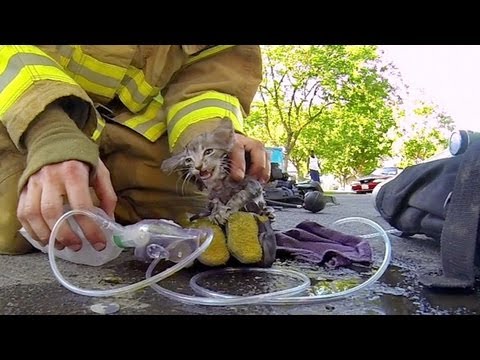 Youtube: GoPro: Fireman Saves Kitten