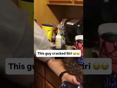 Youtube: Siri ist gerade zusammengebrochen 🤣 🤣 #viral #lustig #lustigevideos #memes