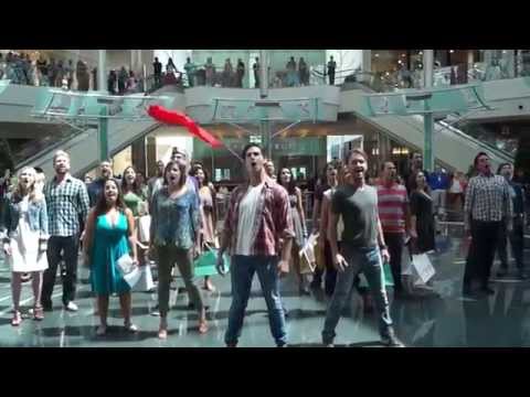 Youtube: Les Misérables Flash Mob - Orlando Shakespeare Theater