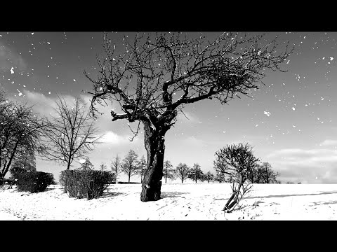 Youtube: Darkwood - Wintermärchen