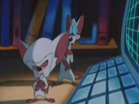 Youtube: Pinky & Brain - Geht dir das selbe durch den Kopf wie mir?