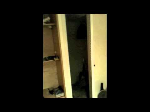 Youtube: 2/11/11 Paranormal- Dog and Closet- Steph's Basement