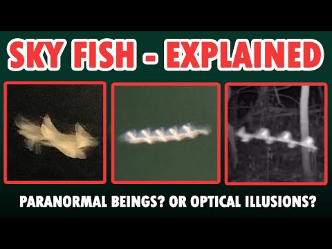 Youtube: Sky Fish Explained - What Are Flying Rods?