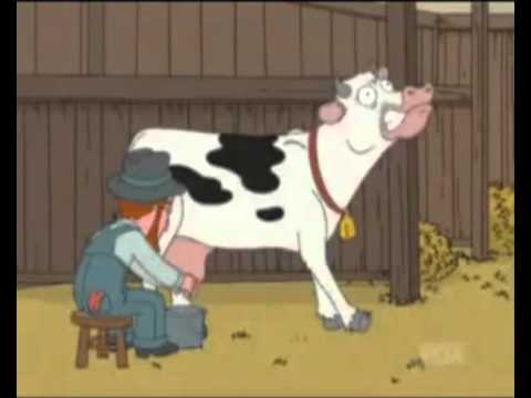 Youtube: That crazy FamilyGuy cow