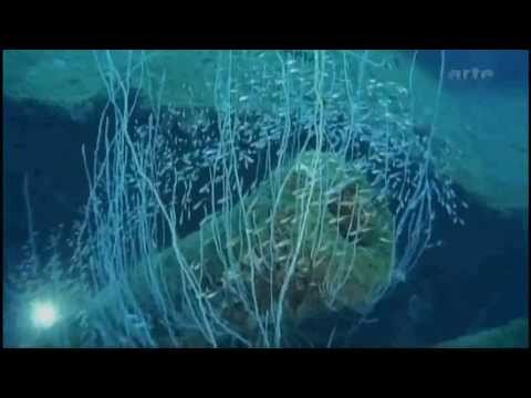 Youtube: Bikini Atoll - Trauminseln im Sperrgebiet 3/3