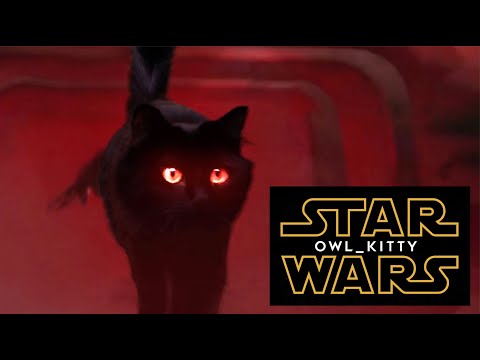 Youtube: Star Wars - Starring my cat OwlKitty