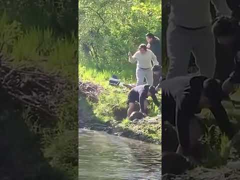 Youtube: Wait for the Launch... 🚀 Beaver vs. Man! #shorts #funny #viral #trending #animals