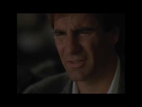 Youtube: Quantum Leap - Al Scaring Sam