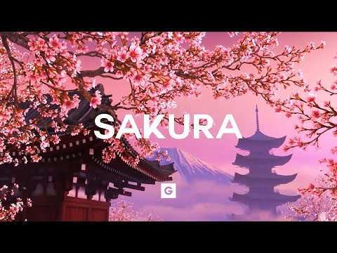 Youtube: GRILLABEATS - Sakura