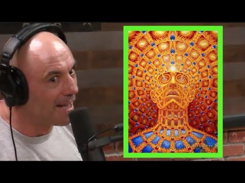 Youtube: Joe Rogan's DMT Experiences