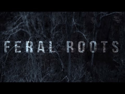 Youtube: Rival Sons - Feral Roots (Official Visualizer)