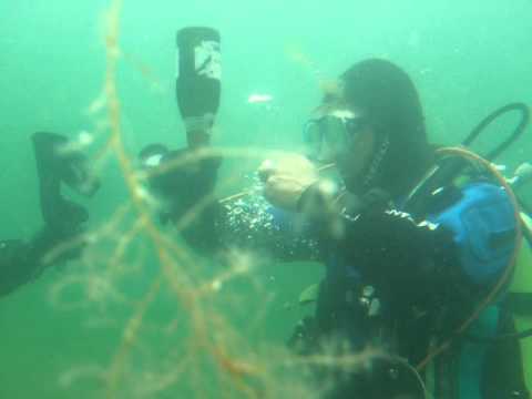Youtube: Sekt unter Wasser trinken