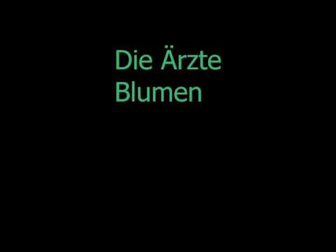 Youtube: Die Ärzte - Blumen