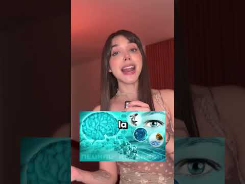 Youtube: ¿Qué pasa después de la muerte? 🤔