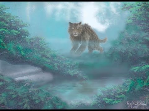 Youtube: Animal X - Part 8 Monster or Murderer The Beast of Gevaudan | Storyteller Media
