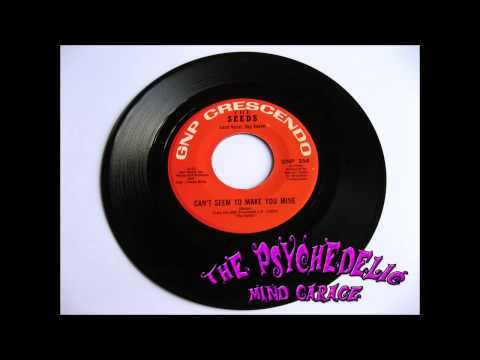 Youtube: THE SEEDS - Can't Seem To Make You Mine