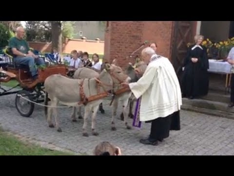 Youtube: Pfarrer segnet bei einem Tiergottesdienst in Paaren 80 Esel