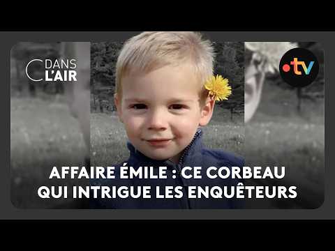Youtube: Affaire Émile : ce corbeau qui intrigue les enquêteurs