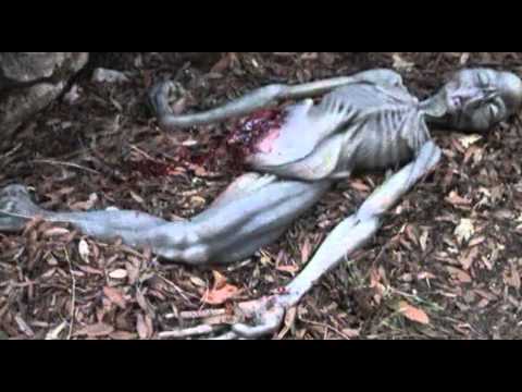 Youtube: Alien Body