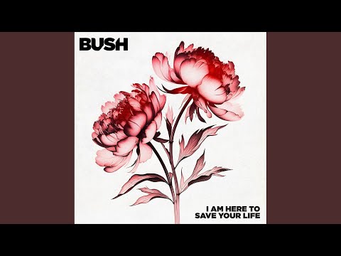 Youtube: I Am Here to Save Your Life