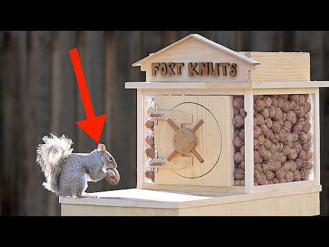 Youtube: Backyard Squirrel Maze 2.0- The Walnut Heist