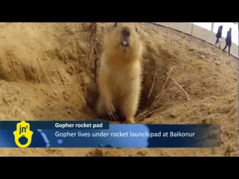 Youtube: Gopher Living Under Kazakhstan Rocket Launchpad: Baikonur Cosmodrome, Russian Soyuz Launch Site