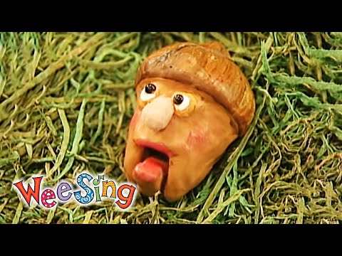 Youtube: I'm a Nut | Wee Sing