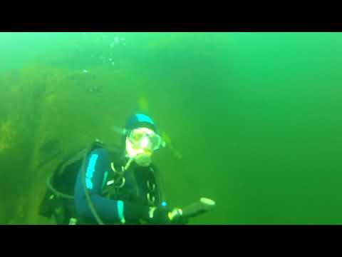 Youtube: Tauchimpressionen in Ammelshain   Unterwasser mit der Action Cam