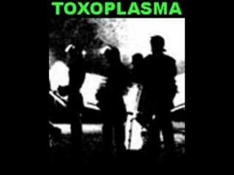 Youtube: Toxoplasma - Pass dich an