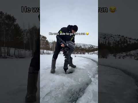 Youtube: This looks so fun 👀😂 (via Vkadre_kz/IG)