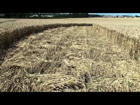 Youtube: Crop Circle at Hackpen Hill 26/8/2012