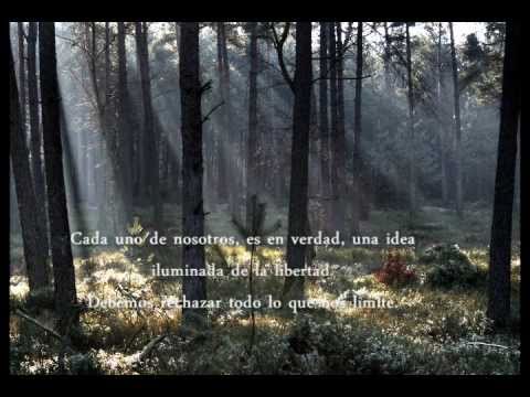 Youtube: Kevin Kern-fairy wings.Música relajante. Solo piano.