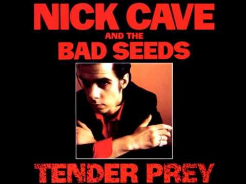 Youtube: Nick Cave and the Bad Seeds - Watching Alice