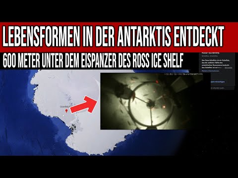 Youtube: Lebensformen in der Antarktis entdeckt - 600 Meter unter dem Eispanzer des Ross Ice Shelf