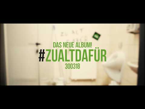 Youtube: Knallfrosch Elektro - #zualtdafür