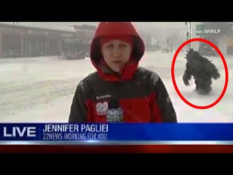 Youtube: 16 Mysterious Creatures Caught on LIVE TV