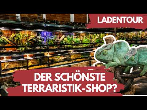 Youtube: LADENTOUR - So einen Reptilienshop habe ich noch nie gesehen! 🐍