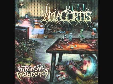 Youtube: Amagortis - Carnivorous Crackpipe [Intrinsic Indecency 2010]