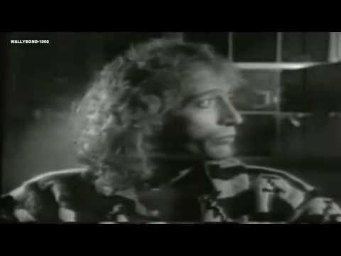Youtube: LIKE A FOOL-ROBIN GIBB-OFFICIAL VIDEO- 1984 ( HQ )