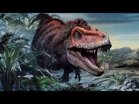 Youtube: Alle 32 Arten der Tyrannosaurier