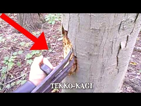 Youtube: Surviving Deadly Encounters with Lethal Ninja Weapons