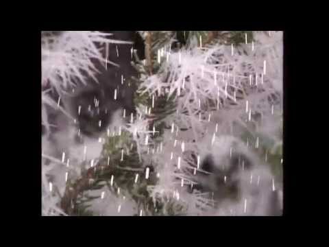 Youtube: Rolf Zuckowski | Es schneit