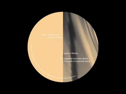 Youtube: Anthony Linell - Layers of Reality [NE8]