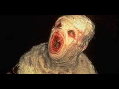 Youtube: TOP 10 SCARIEST THINGS CAUGHT ON TAPE