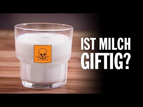 Youtube: Ist Milch giftig oder gesund? - Urgeschmack