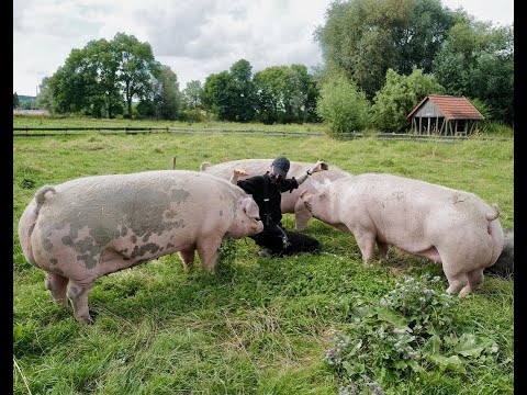 Youtube: Kleine Doku über Gut Weidensee von Dr. Mark Benecke 📽️🎞️🐾