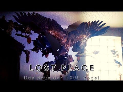 Youtube: Lost Place - Das Haus der 1.000 Tiere