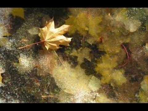 Youtube: Paula Cole - Autumn Leaves