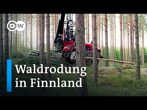 Youtube: Finnland: Kampf gegen Abholzung der Wälder | Fokus Europa
